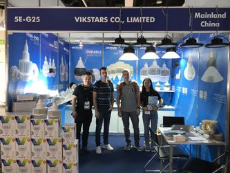 Vikstars Co., Limited γραμμή παραγωγής του κατασκευαστή