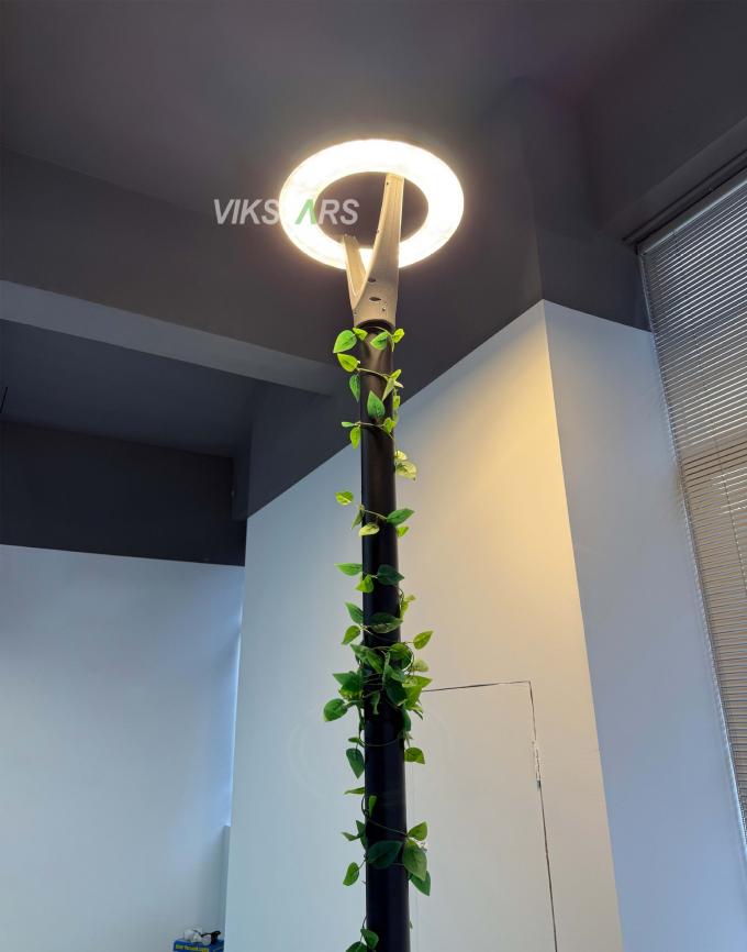 100W Νέο φώτα κήπου 2 χρόνια εγγύηση 100lm / w φθηνή τιμή για χονδρικό 10